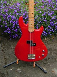 Nick Aq bass